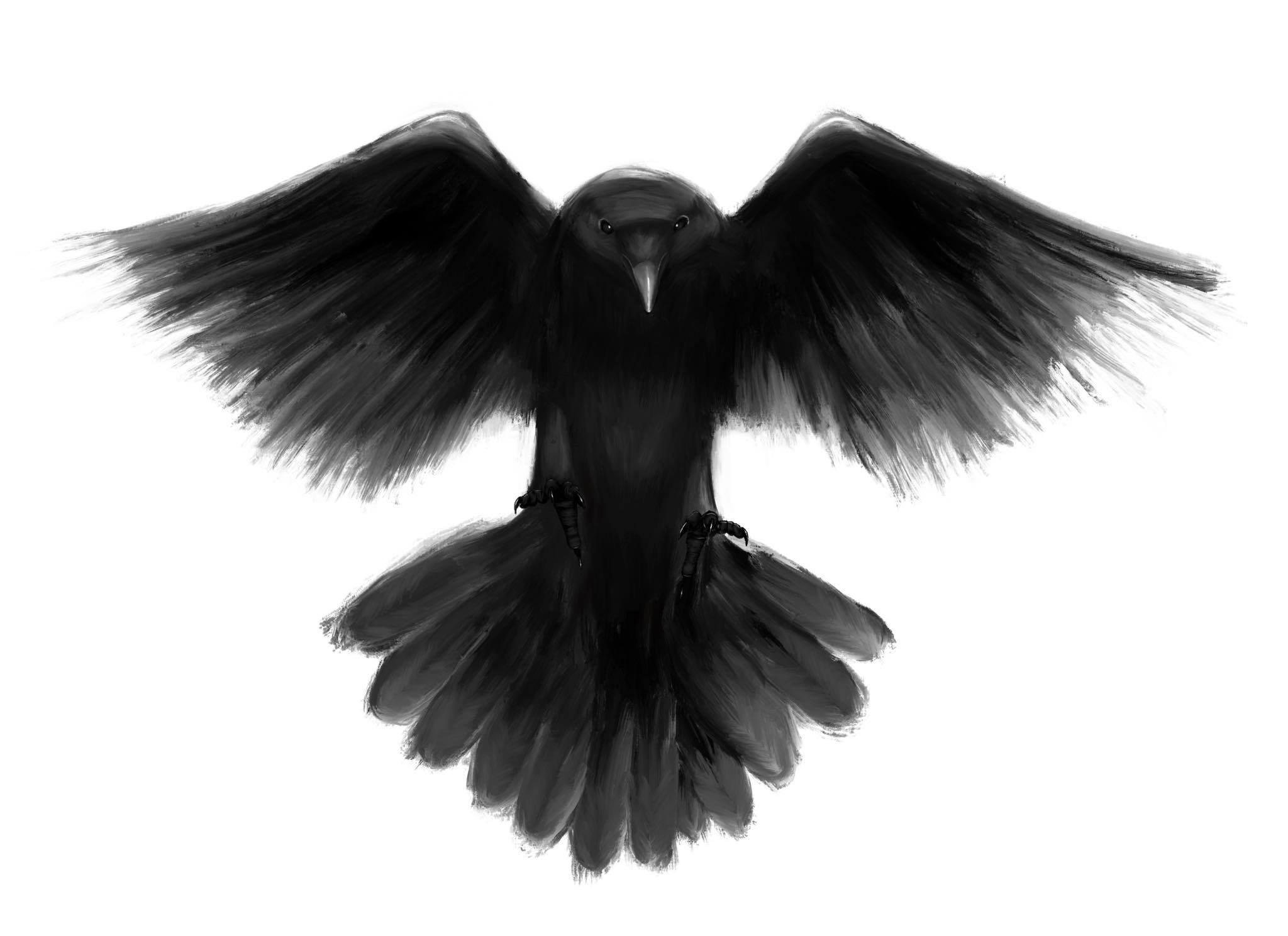 raven digital painting